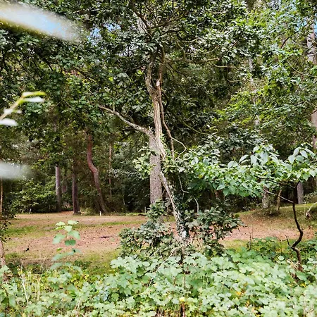 Dom wakacyjny 4 Bedroom Awesome In Nexø